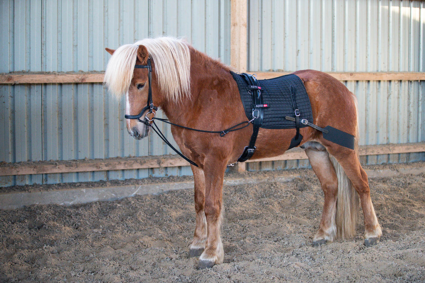 EQUES Core Trainer System