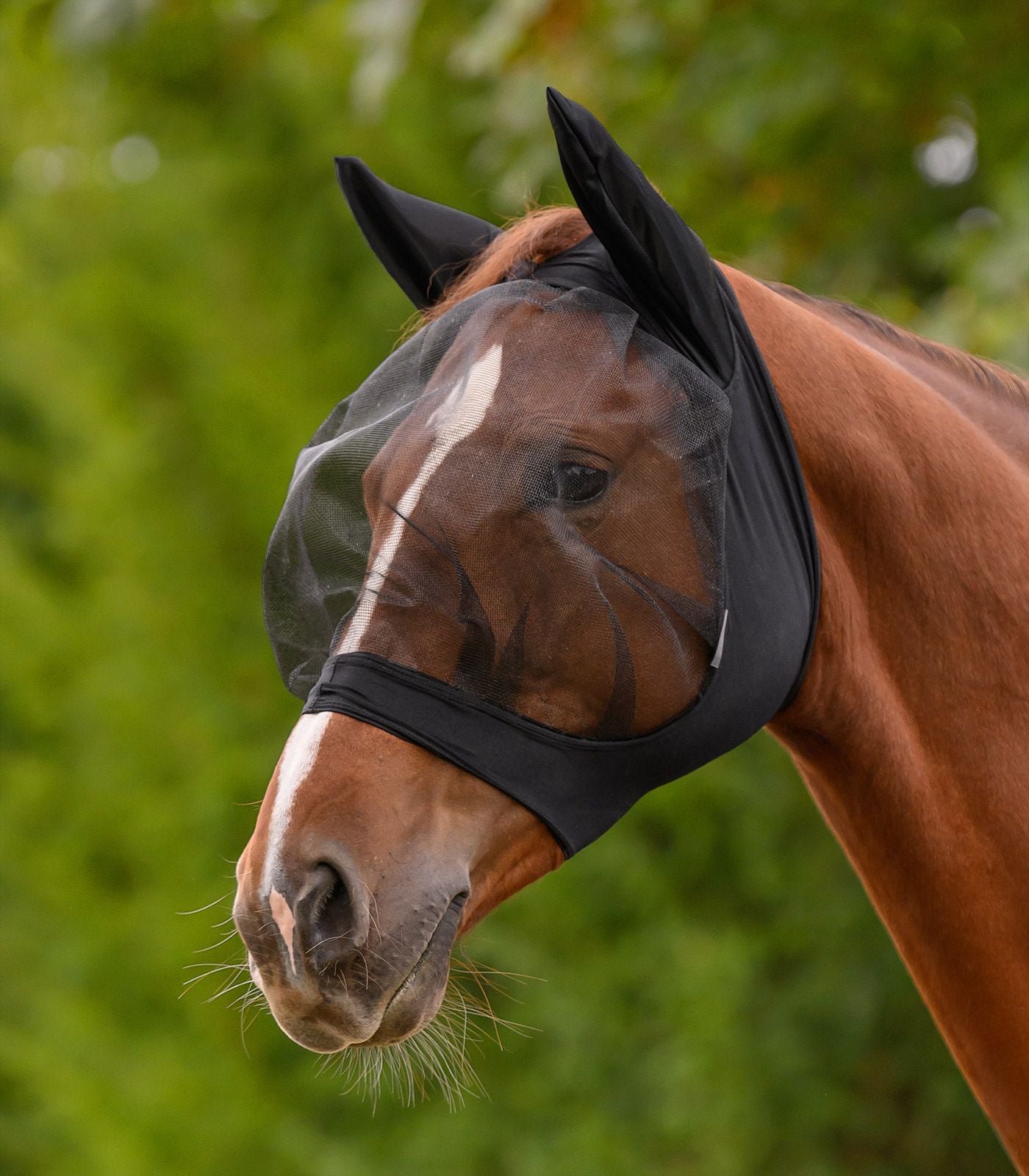 WALDHAUSEN Fliegenmaske Skinny mit Ohrenschutz (Kopie)
